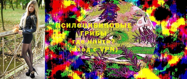 ПСИЛОЦИБИНОВЫЕ ГРИБЫ Бородино