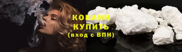 ПСИЛОЦИБИНОВЫЕ ГРИБЫ Бородино