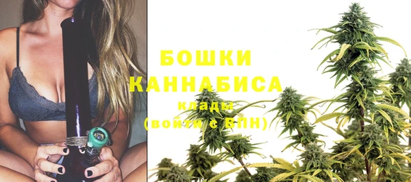 ПСИЛОЦИБИНОВЫЕ ГРИБЫ Бородино